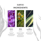 Kanpeki Purifying Facial Clay Mask | Grocsy
