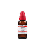Dr. Willmar Schwabe India Valeriana Officinalis Dilution | Grocsy
