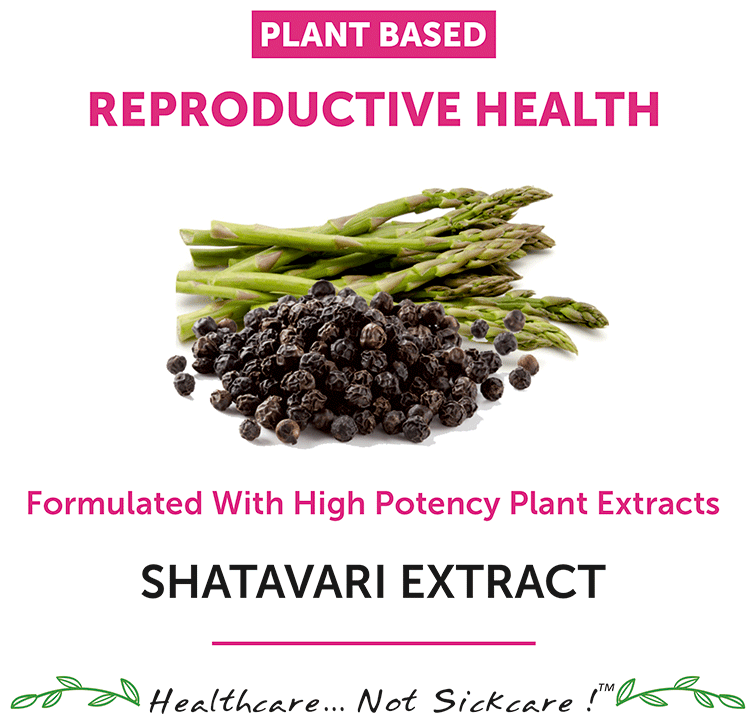 Bliss Welness Women's Wellness Shatavari Biopiperine Veg Tablet | Grocsy