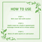 Earth Science Ayurveda Basil Scrub Bath Soap | Grocsy