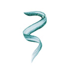 Makeup Revolution Ultimate Lights Chromatic Liner - Teal Bling | Grocsy