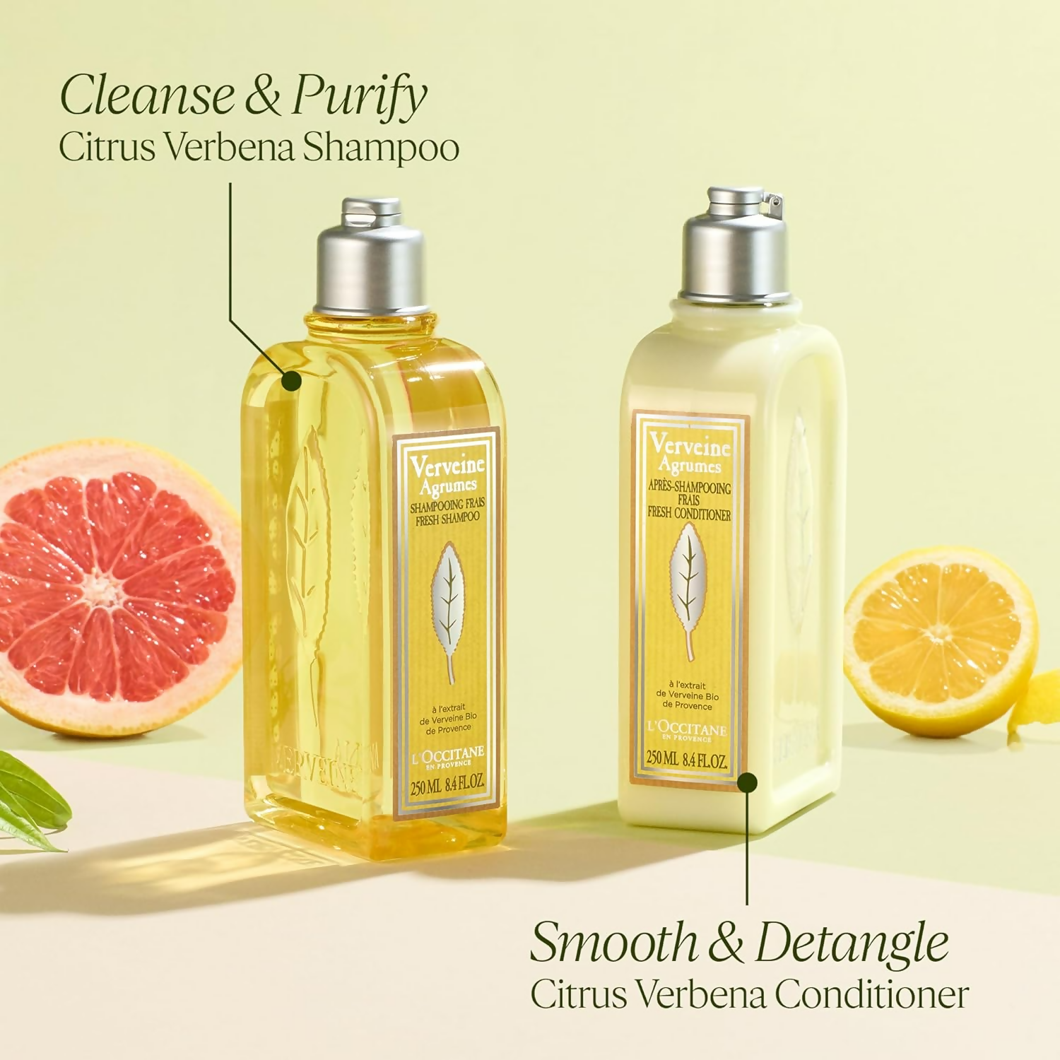 L'Occitane Citrus Verbena Shampo | Grocsy