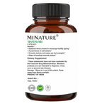 Minature Shatavari Capsules | Grocsy