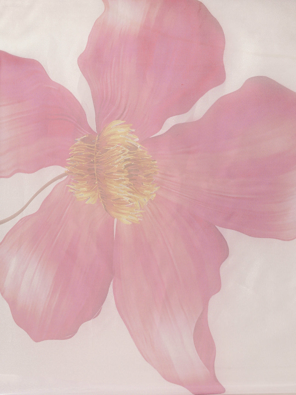Tikhi Imli White & Pink Organza Printed Saree | Grocsy