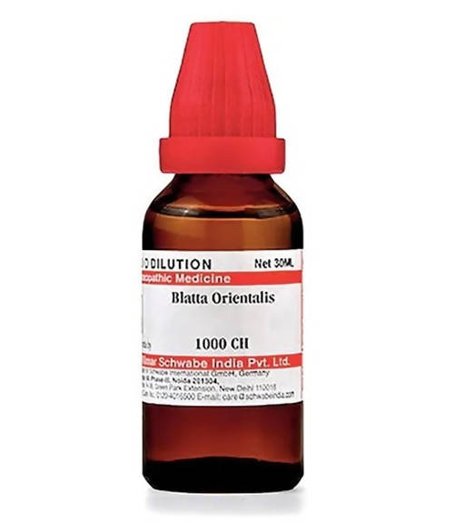 Dr. Willmar Schwabe India Blatta Orientalis Dilution | Grocsy