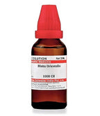 Dr. Willmar Schwabe India Blatta Orientalis Dilution | Grocsy