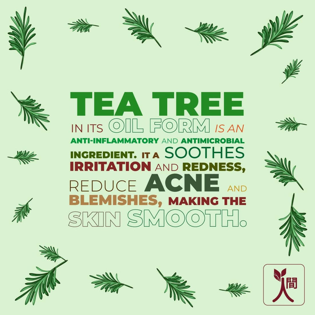 Ningen Tea Tree Face Wash | Grocsy