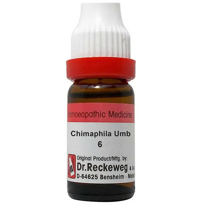 Dr. Reckeweg Chimaphila Umb Dilution | Grocsy