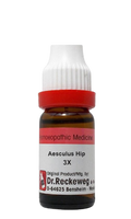 Dr. Reckeweg Aesculus Hip Dilution | Grocsy