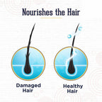 Online Quality Store Red Onion Hair Shampoo | Grocsy