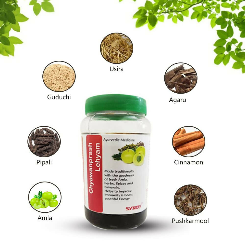 Syndy Pharma Chyawanaprash Lehyam | Grocsy