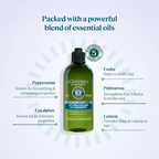 L'Occitane Aqua Reotier Essence | Grocsy