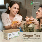 Merlion Naturals Ginger Tea Bags | Grocsy