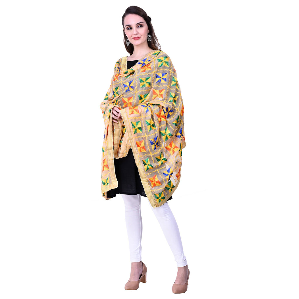 SWI Stylish Women's Embroidered Phulkari Chiffon Beige Dupatta | Grocsy