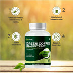 Nutrafirst Green Coffee Bean Extract Capsules | Grocsy