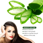 LA Organo Aloe Vera Gel for Face & Hair Moisturization and Papaya Skin Whitening Cream Combo | Grocsy