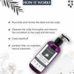 Glamveda Charcoal Conditioner Anti Dandruff & Healthy Hydration | Grocsy