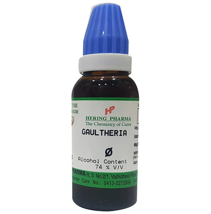 Hering Pharma Gaultheria Mother Tincture Q | Grocsy