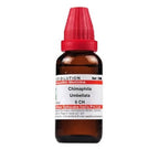 Dr. Willmar Schwabe India Chimaphila Umbellata Dilution | Grocsy