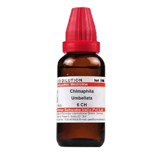 Dr. Willmar Schwabe India Chimaphila Umbellata Dilution | Grocsy