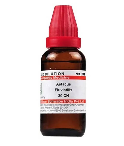 Dr. Willmar Schwabe India Astacus Fluviatilis Dilution | Grocsy
