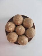 Govis Foods - Foxtail Millet Laddu (korralu) | Grocsy