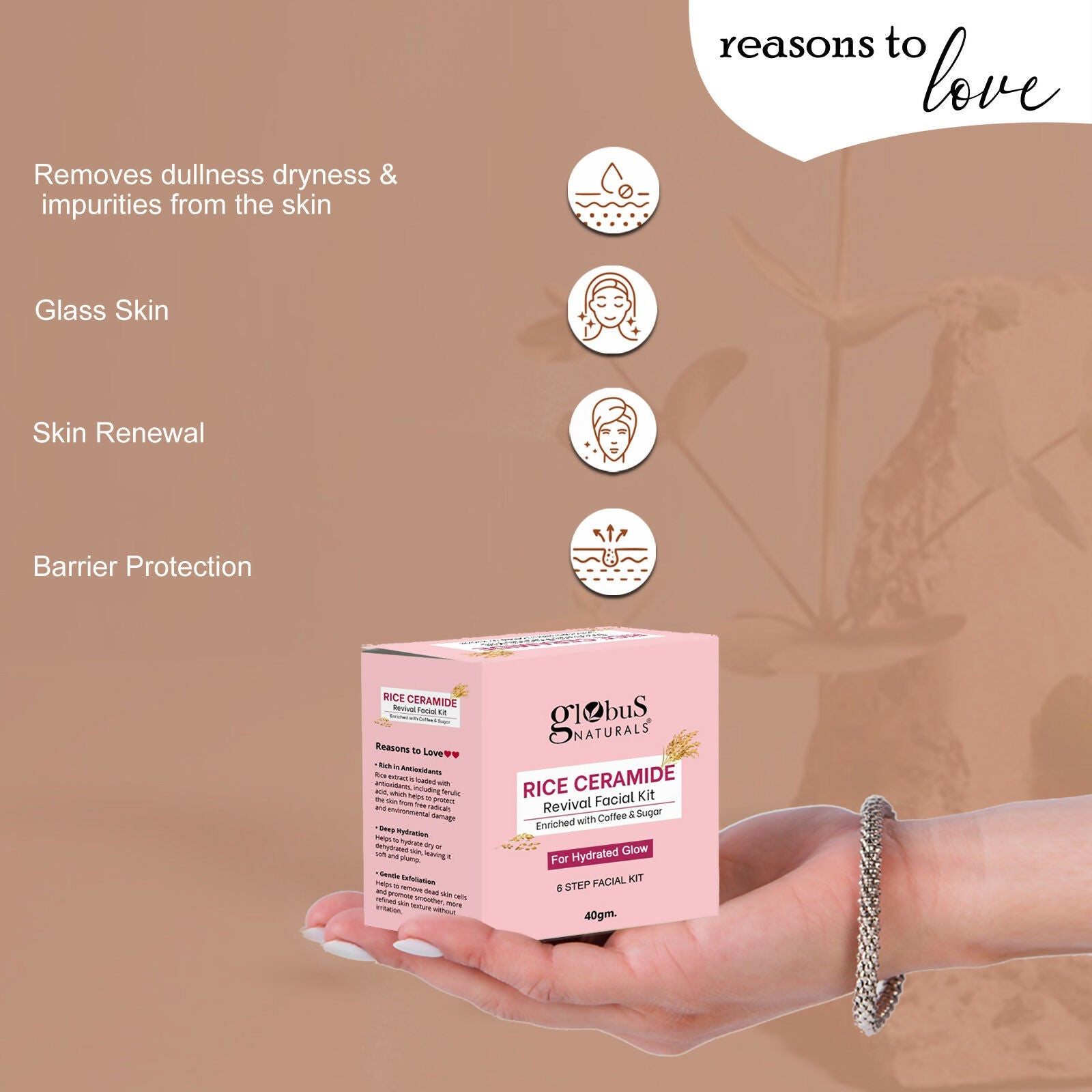 Globus Naturals Rice Ceramide 6 Step Facial Kit For Korean Glass Skin | Grocsy