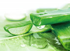 Herbal Essences Sulfate Free potent Aloe +Bamboo Real Botanicals Strength Shampoo | Grocsy