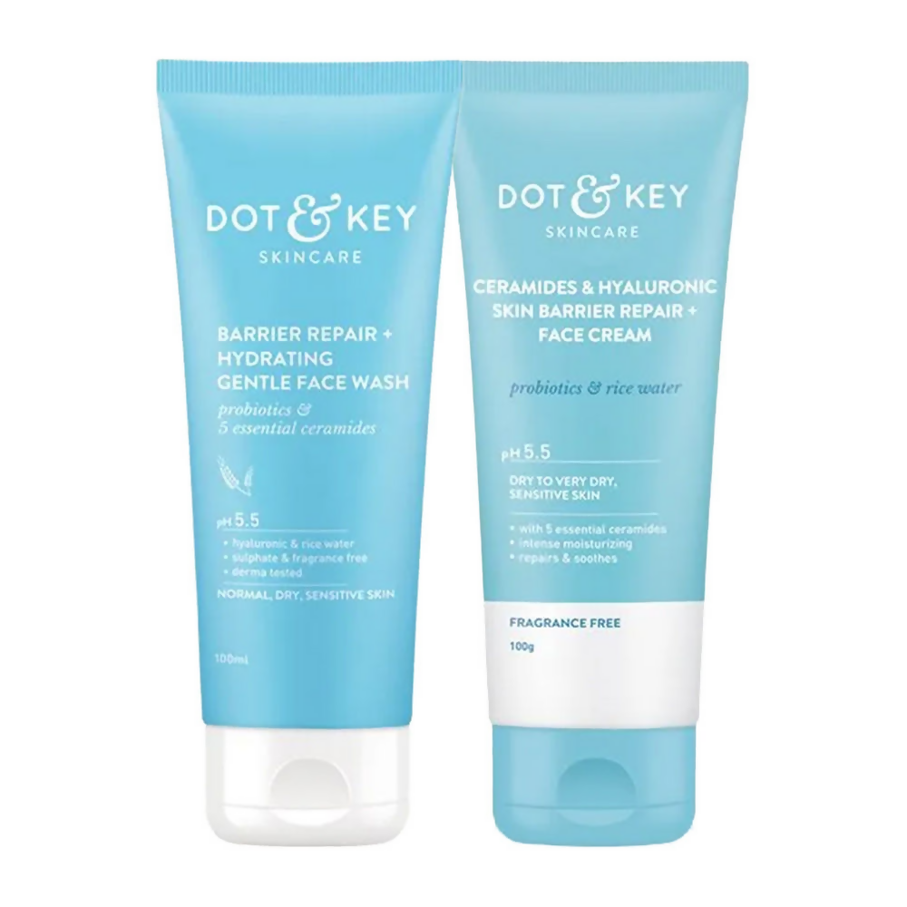Dot & Key Barrier Repair Essentials Duo Combo | Grocsy