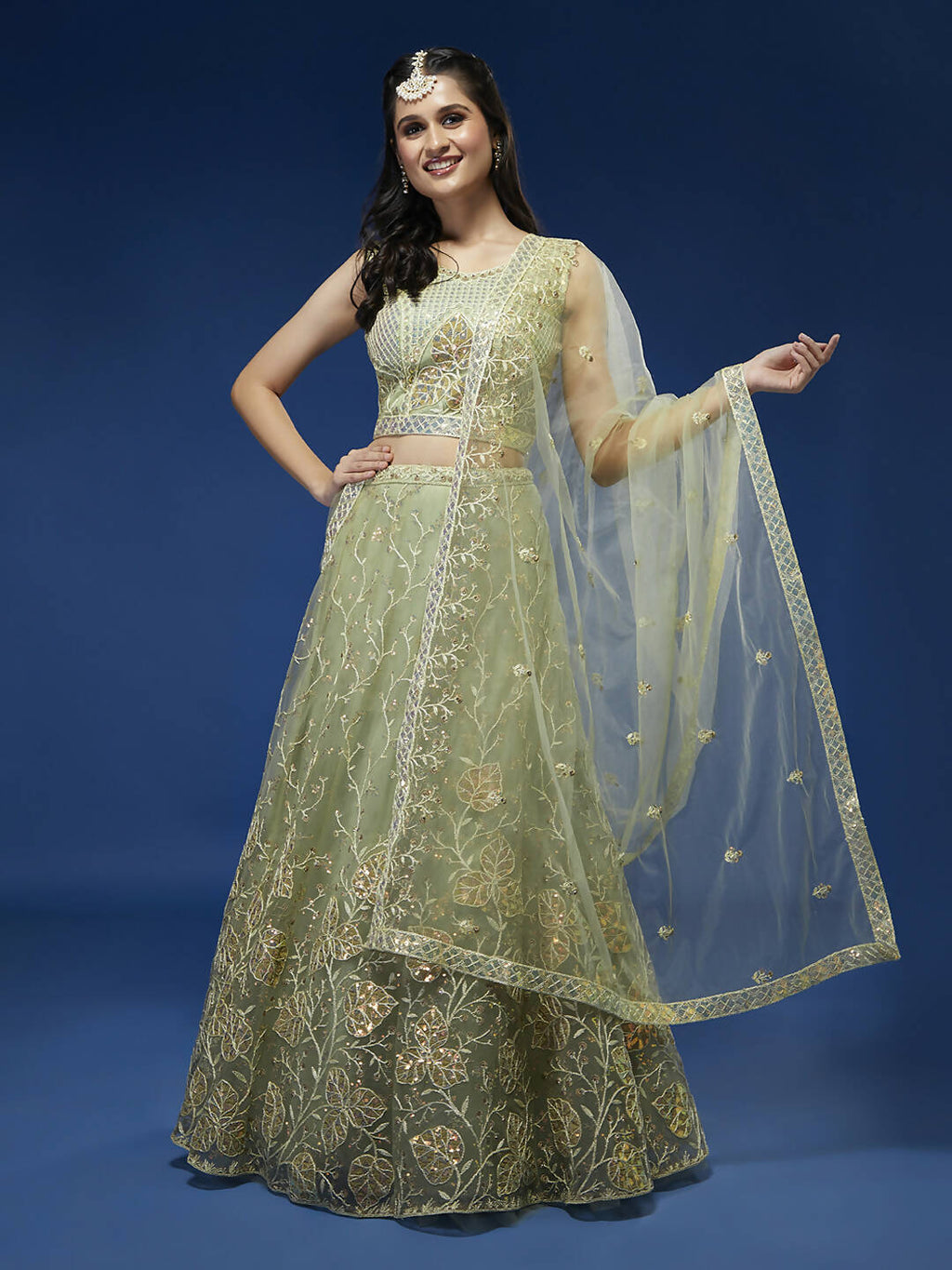 House of Panchhi Pista Net Sequinse Work Lehenga & Blouse, Dupatta | Grocsy
