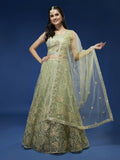 House of Panchhi Pista Net Sequinse Work Lehenga & Blouse, Dupatta | Grocsy