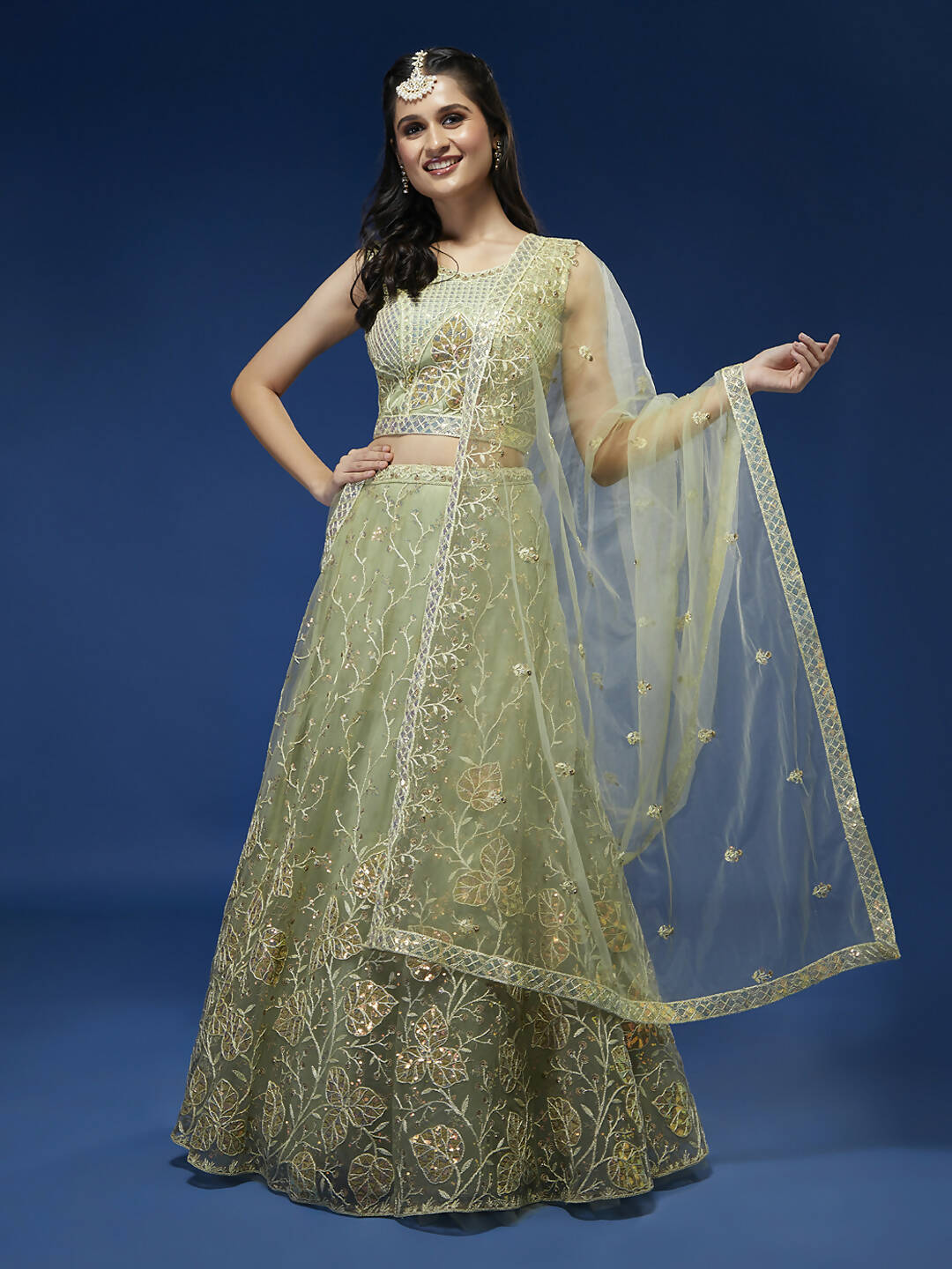 House of Panchhi Pista Net Sequinse Work Lehenga & Blouse, Dupatta | Grocsy