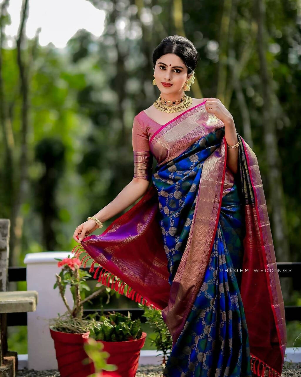 DEIANA'S Beautiful Designer Golden zari Soft Lichi Silk Saree - Royal Blue | Grocsy