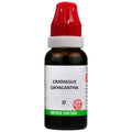 Bjain Homeopathy Crataegus Oxyacantha Mother Tincture Q | Grocsy