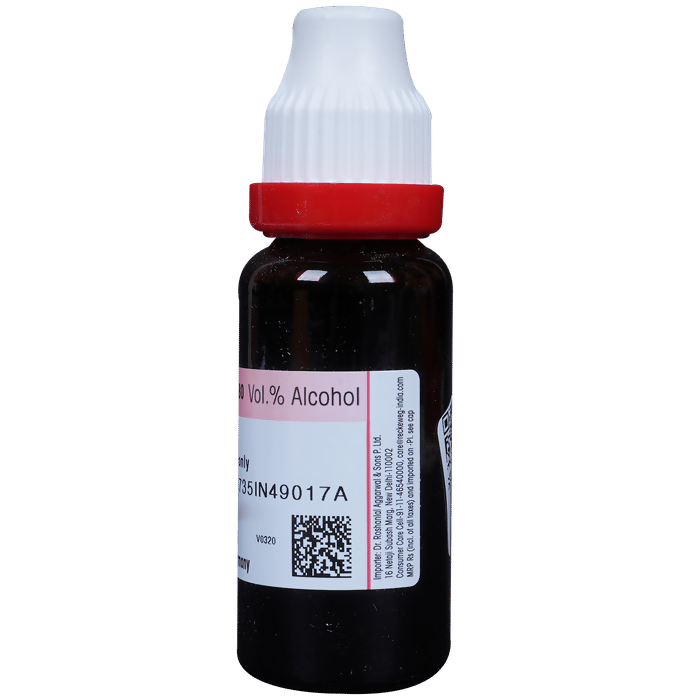 Dr. Reckeweg Gymnema Syl Mother Tincture Q | Grocsy