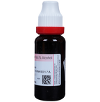 Dr. Reckeweg Gymnema Syl Mother Tincture Q | Grocsy