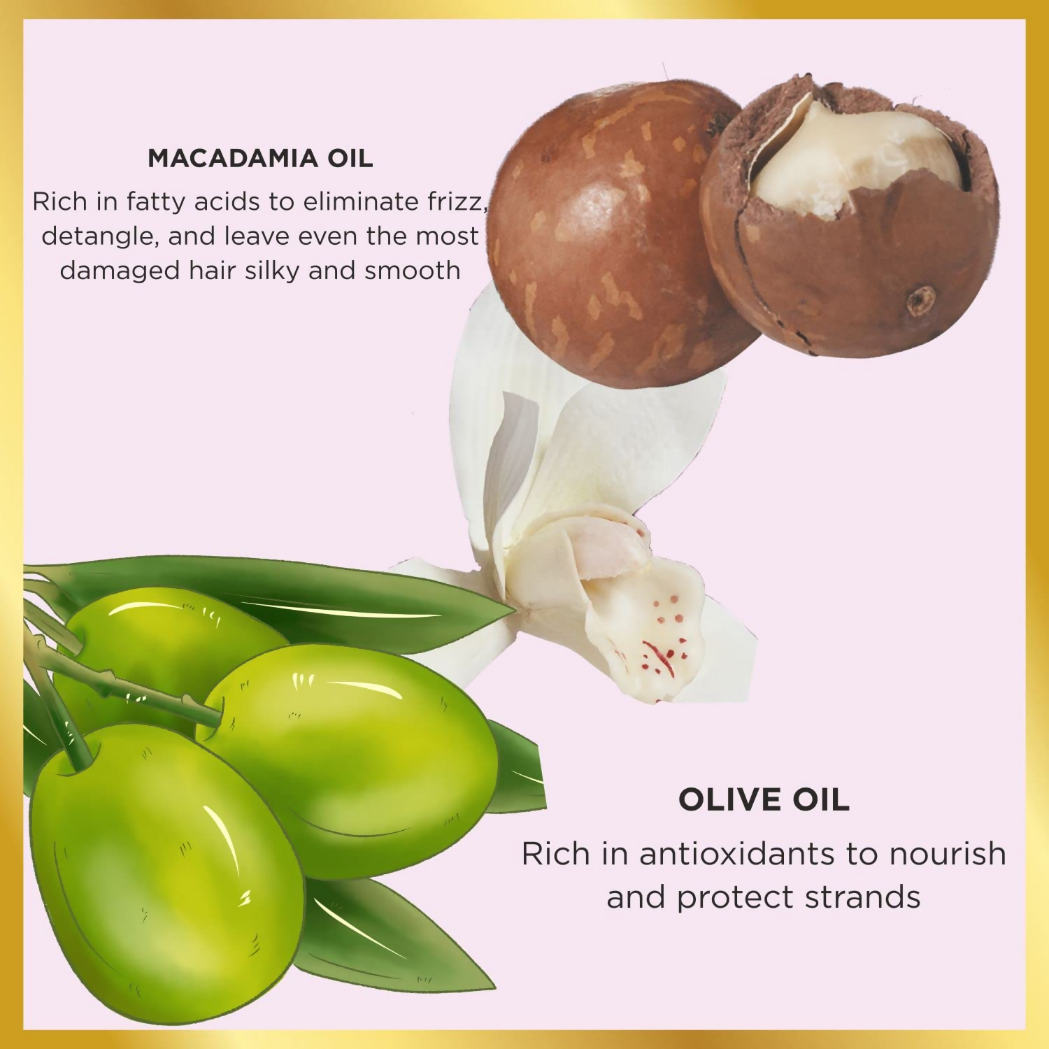 HASK Macadamia Oil Moisturizing Deep Conditioner | Grocsy