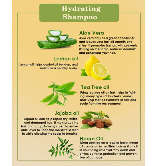 Ancient Living Hydrating Shampoo | Grocsy