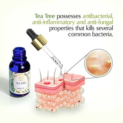 The Beauty Co. Tea Tree Essential Oil | Grocsy