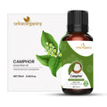 Urbanorganics Camphor Essential Oil | Grocsy