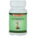 Baidyanath Jhansi Pathreena Tablets | Grocsy