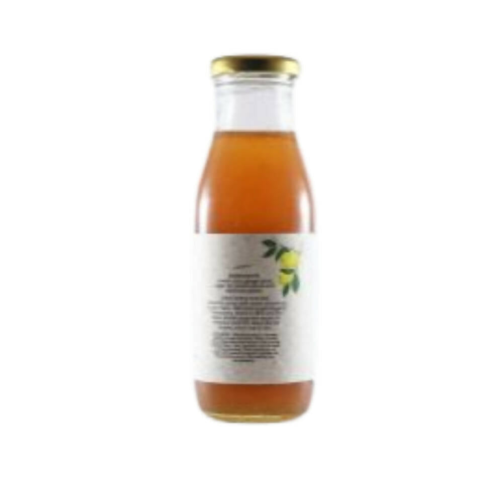 Native Circle Lemon Ginger Syrup | Grocsy