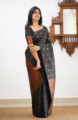 DEIANA'S Beautiful Designer Golden zari Soft Lichi Silk Saree - Black | Grocsy