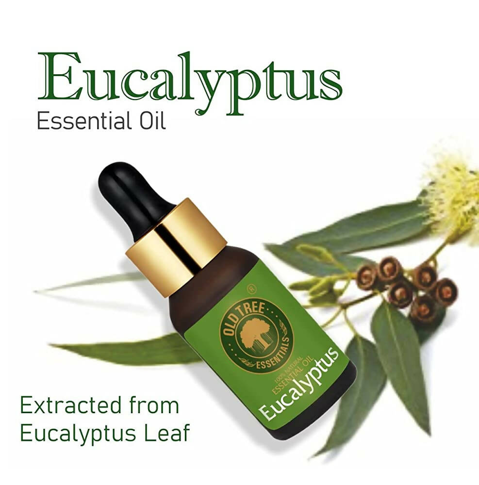 Old Tree 100% Pure Eucalyptus Essential Oil | Grocsy