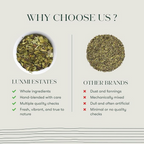Luxmi Estates Moringa Mint Herbal Infusion | Grocsy