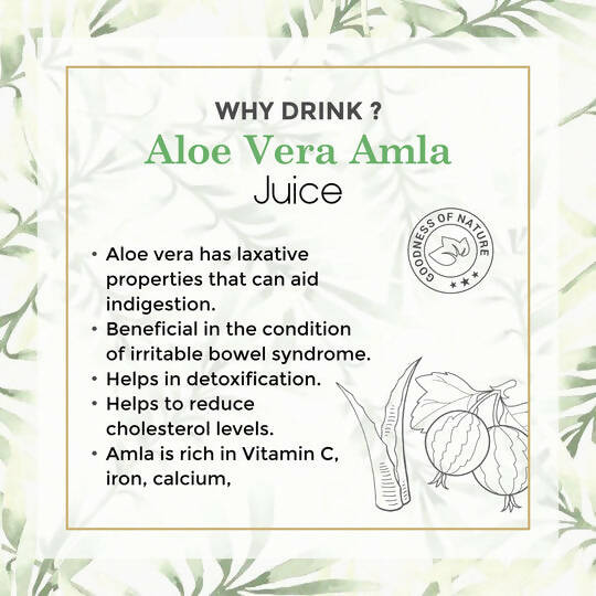 Four Seasons Aloevera Amla Juice | Grocsy