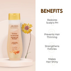 Jovees Henna & Ginseng Anti Hair Loss Shampoo | Grocsy