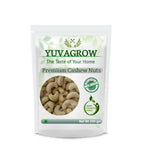 Yuvagrow W-180 Cashew Nuts | Grocsy