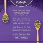 Pretty Nutty Raw Pumpkin Seeds | Grocsy