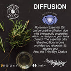 Soulflower Rosemary Oil for Healthy Hair and Shiny Skin | Grocsy